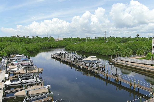 dock area with a water view