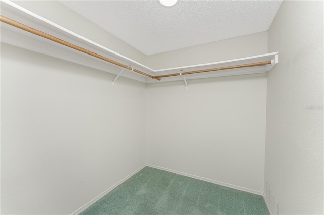 spacious closet featuring carpet floors