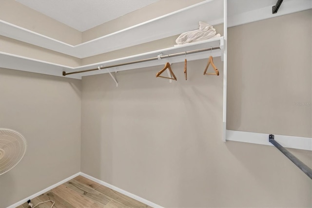 spacious closet with hardwood / wood-style floors