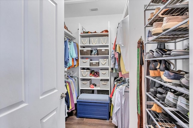 spacious closet featuring wood-type flooring