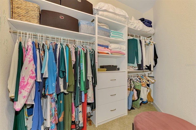 spacious closet with light colored carpet