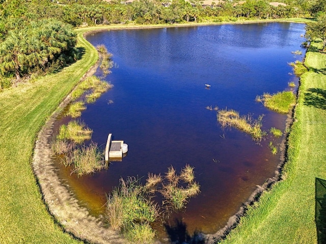 drone / aerial view with a water view