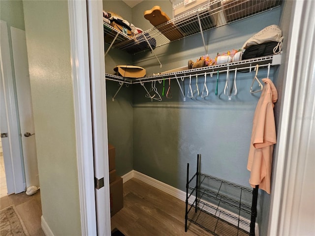 walk in closet featuring hardwood / wood-style floors