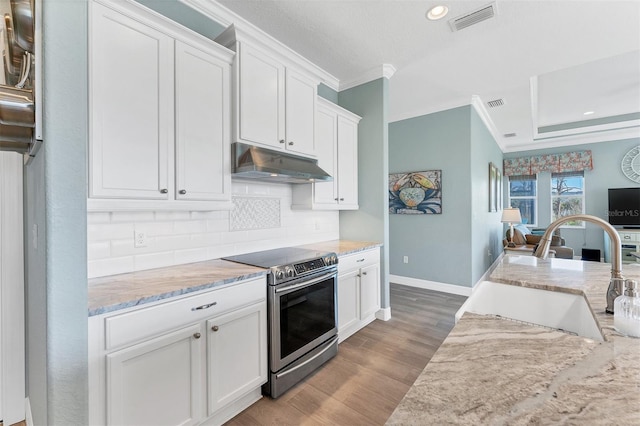 8025 Weyers Ct, Englewood, FL 34224 - kitchen with under cabinet range hood, stainless steel range with electric stovetop, ornamental molding, decorative backsplash, and wood finished floors