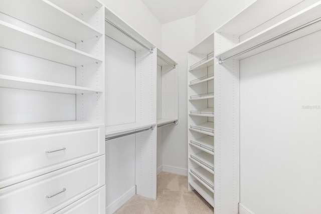 walk in closet with light carpet