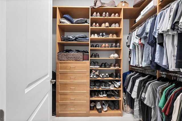 view of spacious closet