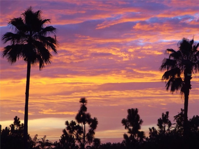 view of nature at dusk