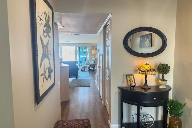 hallway featuring dark hardwood / wood-style flooring