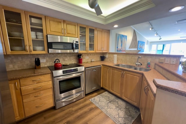 kitchen with appliances with stainless steel finishes, tasteful backsplash, crown molding, sink, and dark hardwood / wood-style floors