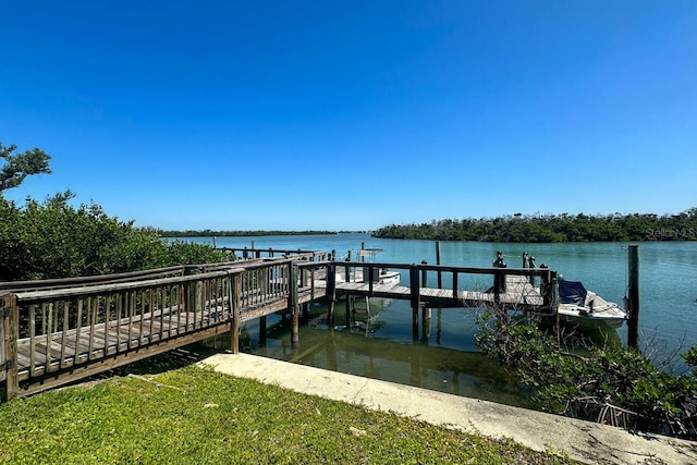 dock area with a water view