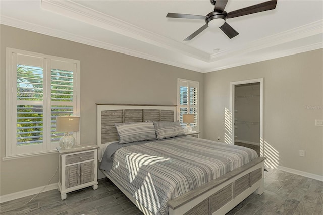 bedroom with ceiling fan, a spacious closet, dark wood-type flooring, and ornamental molding