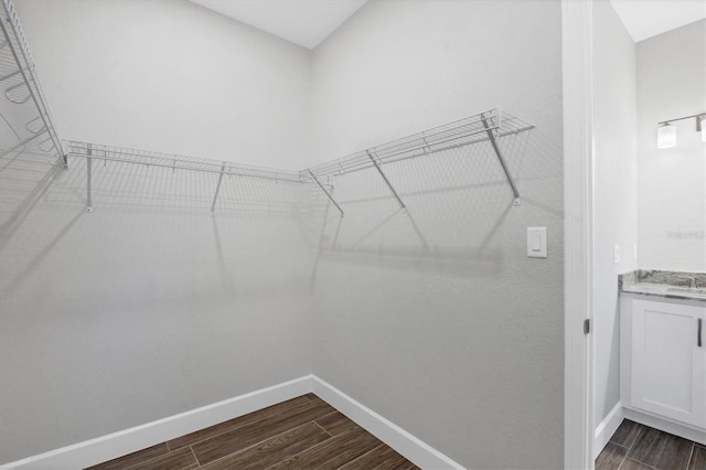 spacious closet featuring dark hardwood / wood-style flooring