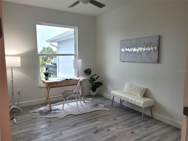 office featuring ceiling fan, baseboards, and wood finished floors