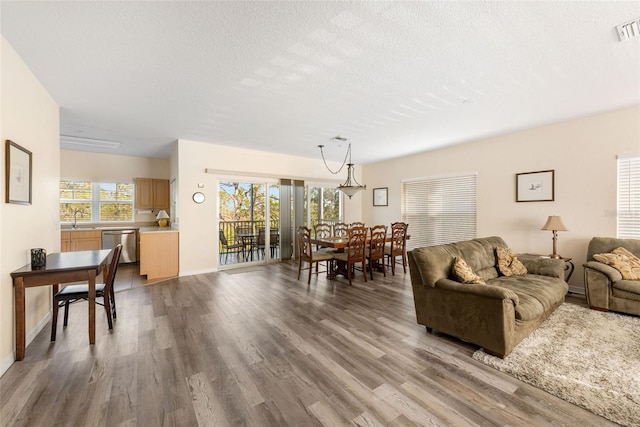 living room featuring hardwood / wood-style floors, a textured ceiling, a wealth of natural light, and sink