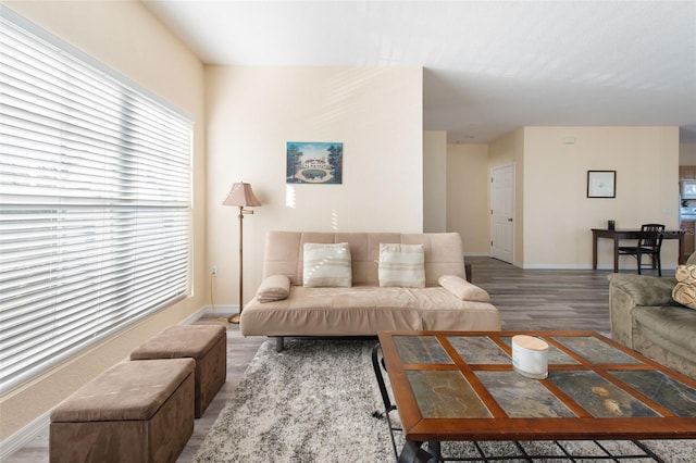 living room featuring hardwood / wood-style flooring