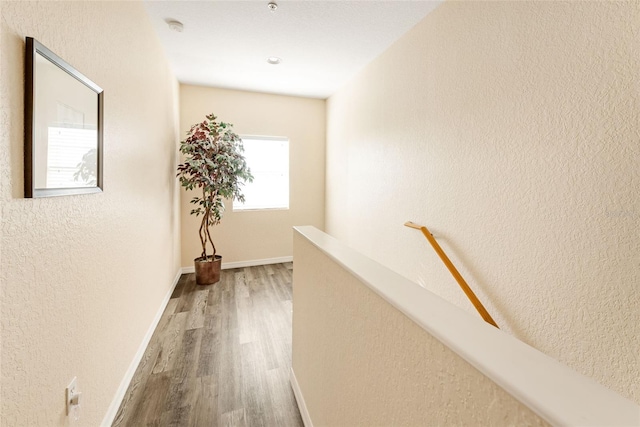 hallway with wood-type flooring