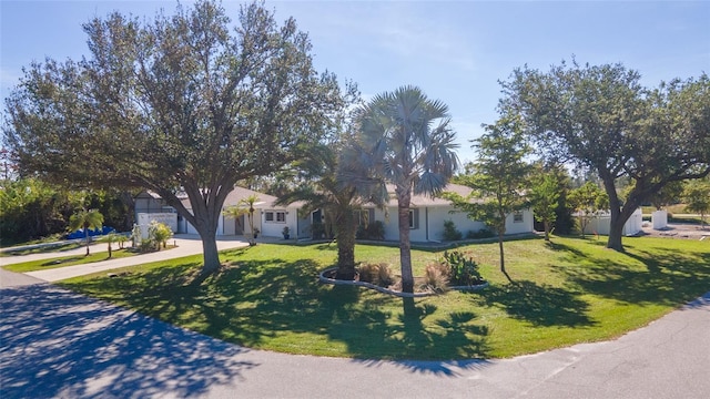 view of property hidden behind natural elements with a front yard and a garage