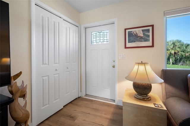 foyer with plenty of natural light and light hardwood / wood-style flooring