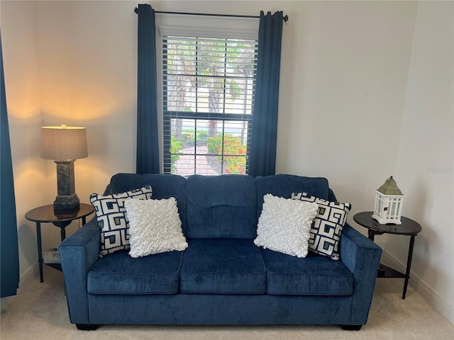 living room with carpet