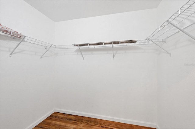 walk in closet featuring dark wood-type flooring