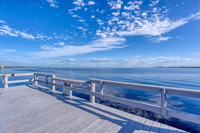 dock area with a water view