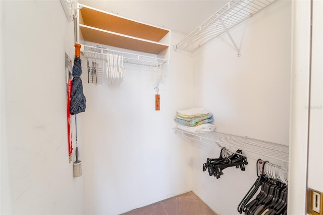 spacious closet with light carpet