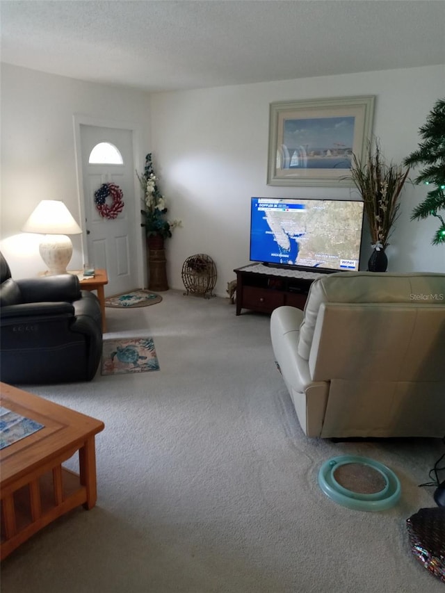 living room featuring carpet