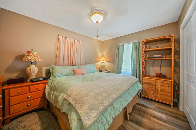 bedroom featuring a closet and hardwood / wood-style flooring