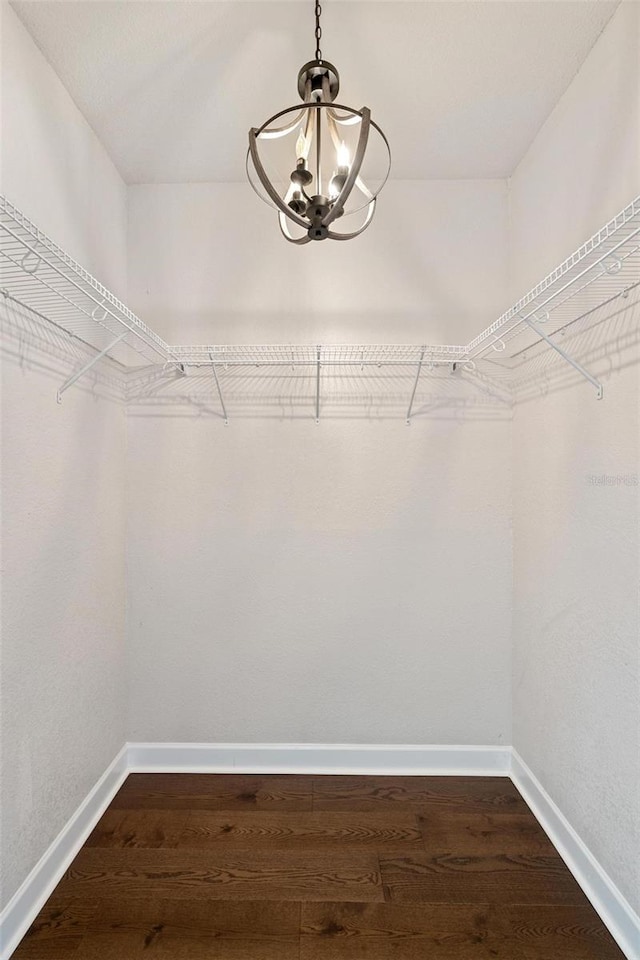 spacious closet featuring dark hardwood / wood-style flooring and an inviting chandelier