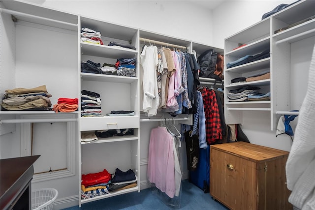 walk in closet featuring carpet