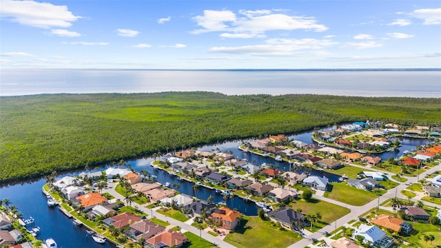 aerial view with a water view