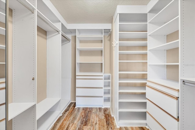 spacious closet with hardwood / wood-style flooring