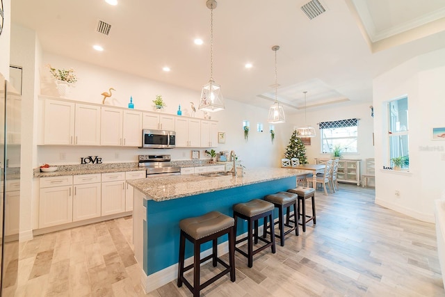 kitchen with a center island with sink, white cabinets, sink, appliances with stainless steel finishes, and a tray ceiling