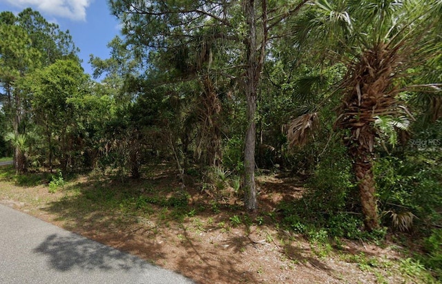 LOT28 Jaffe Ln, North Port FL, 34288 land for sale