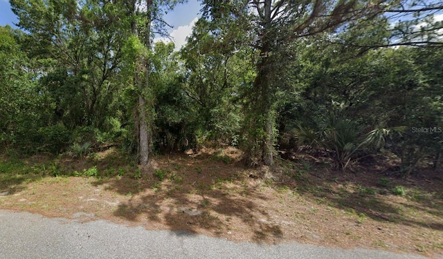 Listing photo 3 for LOT28 Jaffe Ln, North Port FL 34288