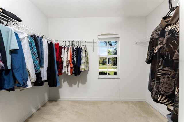 walk in closet with carpet flooring