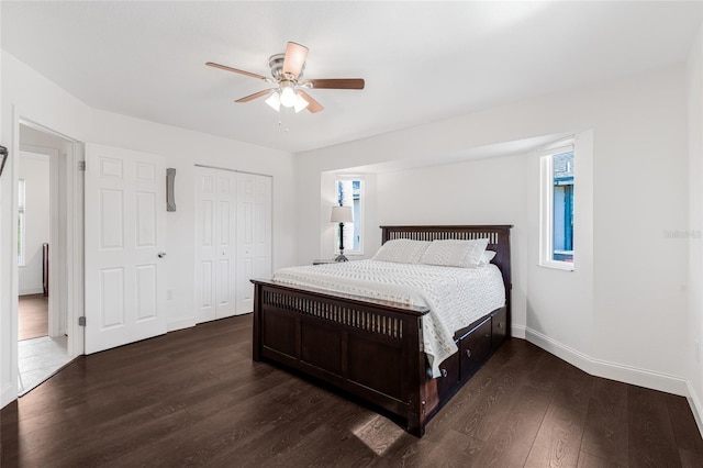 bedroom featuring dark hardwood / wood-style floors and ceiling fan