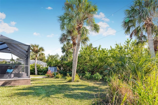 view of yard with a lanai