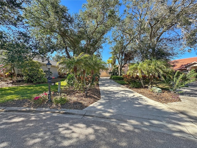 3117 Silkwood Ln, Port Charlotte, FL 33953 - photo 8