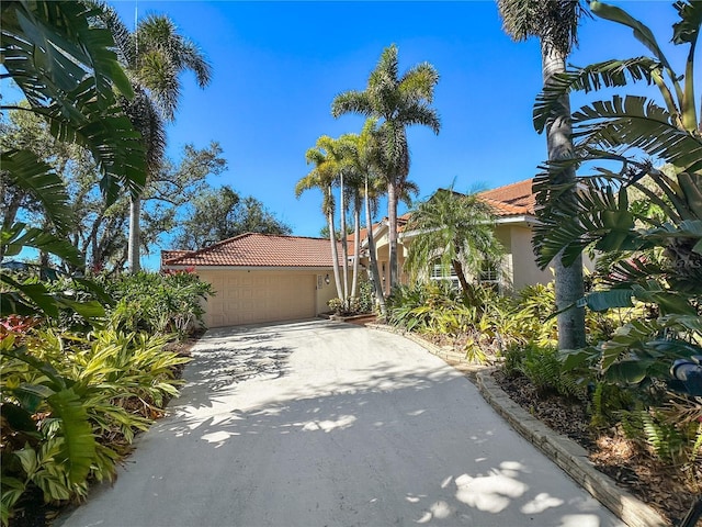 3117 Silkwood Ln, Port Charlotte, FL 33953 - photo 9