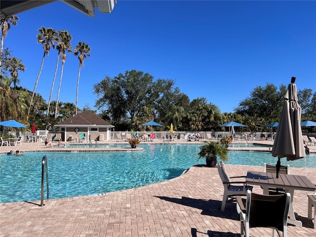 view of swimming pool featuring a patio area