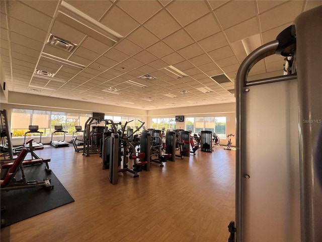 exercise room with hardwood / wood-style flooring and a paneled ceiling