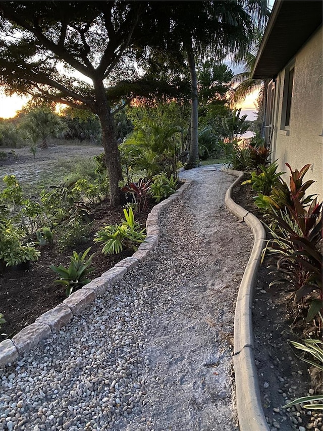 view of yard at dusk