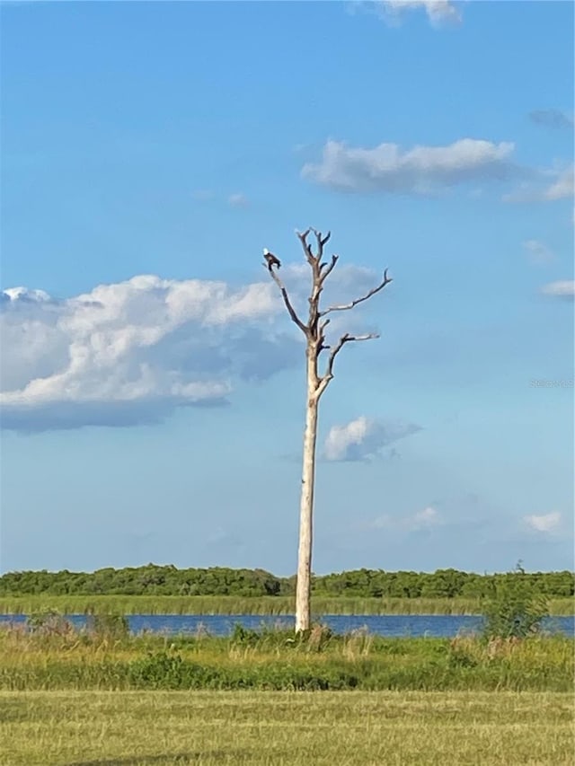 water view