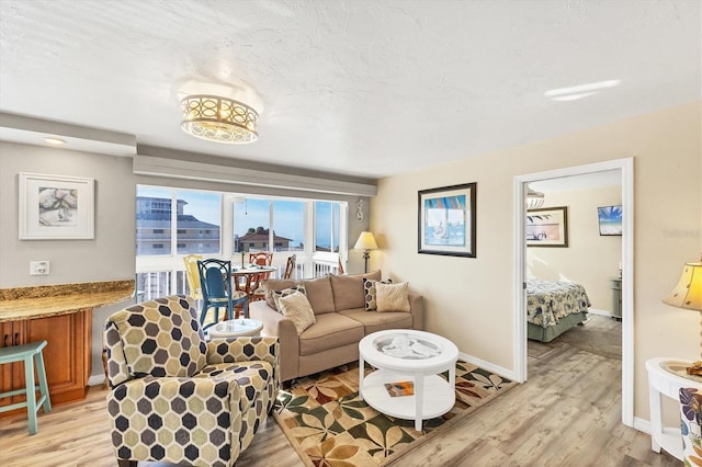 living room featuring light hardwood / wood-style flooring