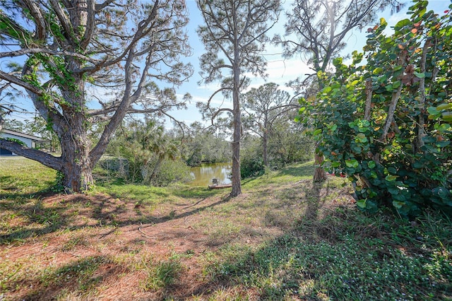 view of yard featuring a water view