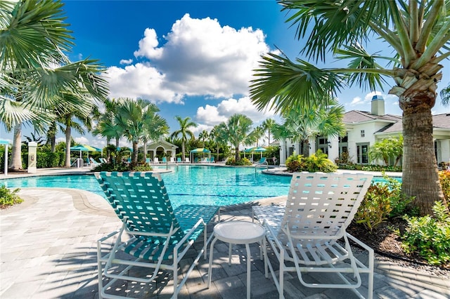 view of swimming pool with a patio