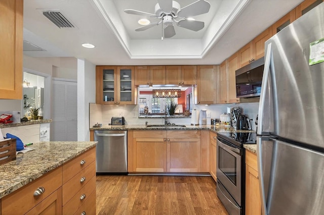 kitchen with a raised ceiling, sink, light stone countertops, appliances with stainless steel finishes, and light hardwood / wood-style floors