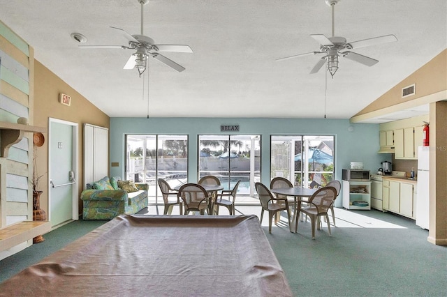 interior space featuring ceiling fan, a wealth of natural light, and vaulted ceiling