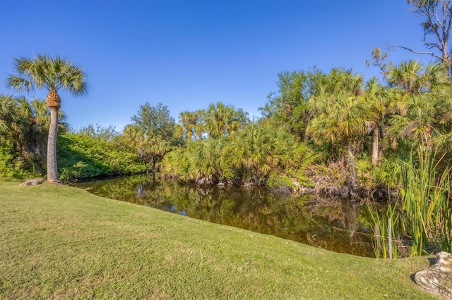 view of yard with a water view